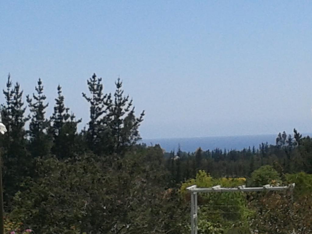 El Algarrobo Exterior foto