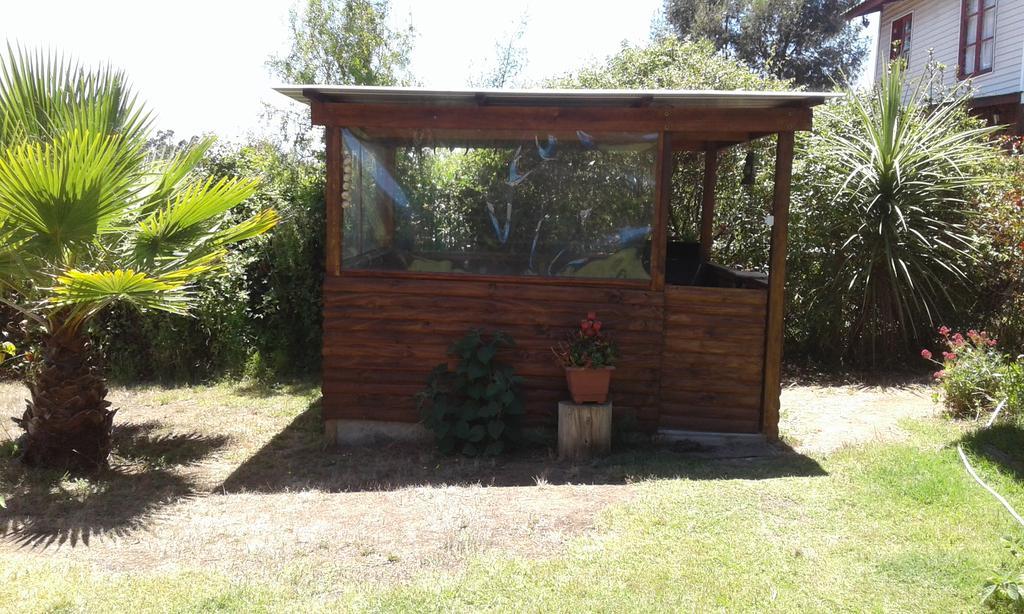 El Algarrobo Exterior foto