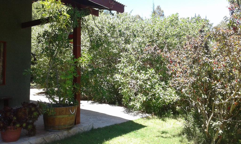 El Algarrobo Exterior foto