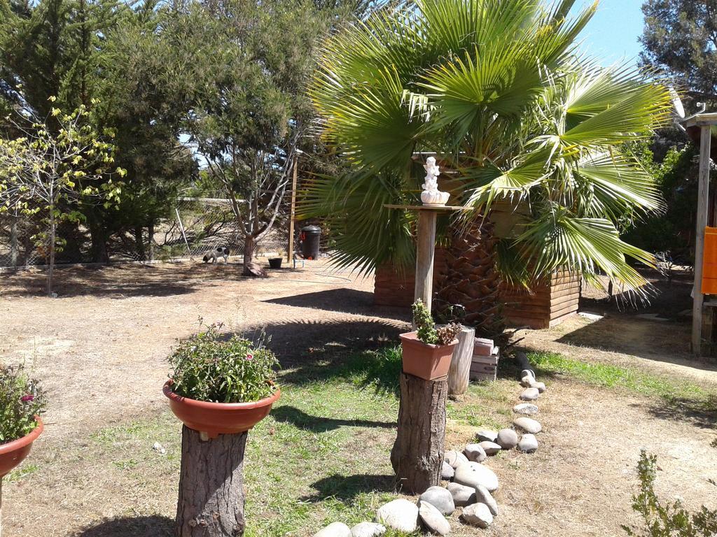 El Algarrobo Exterior foto