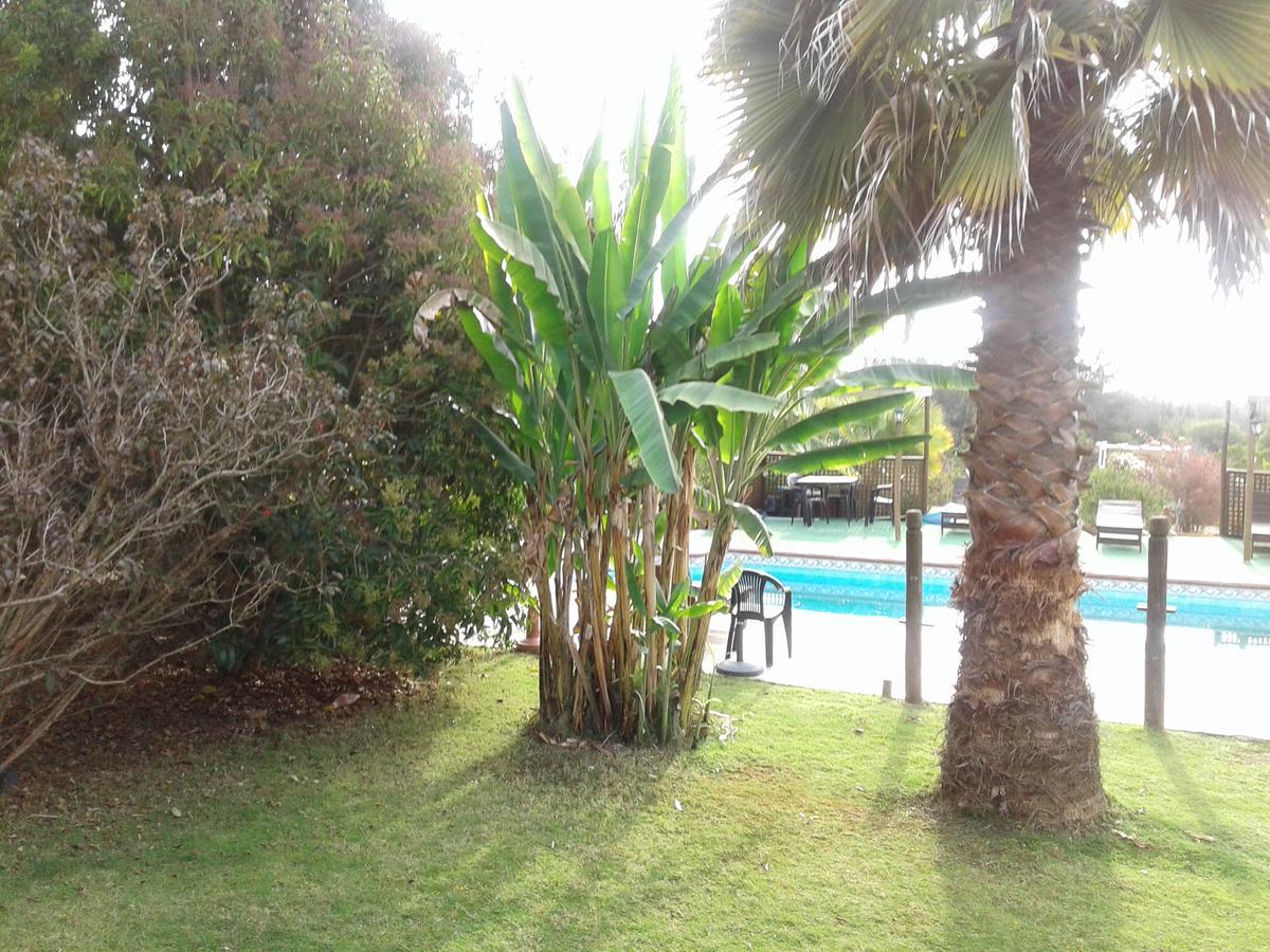 El Algarrobo Exterior foto